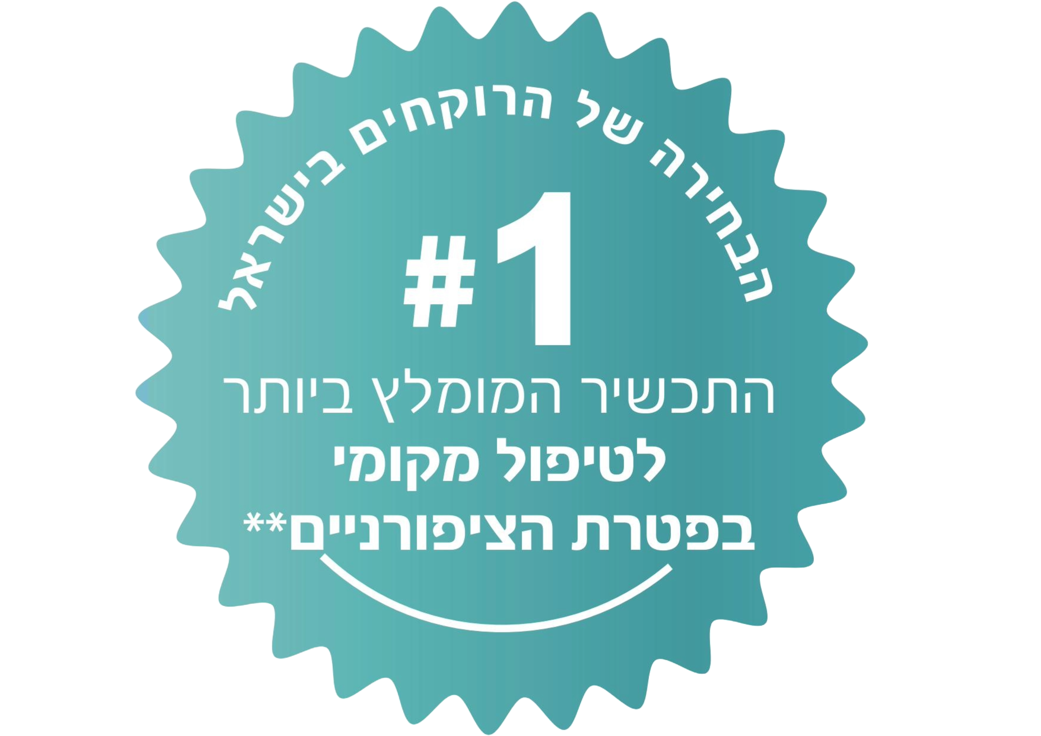 סטמפה 2026