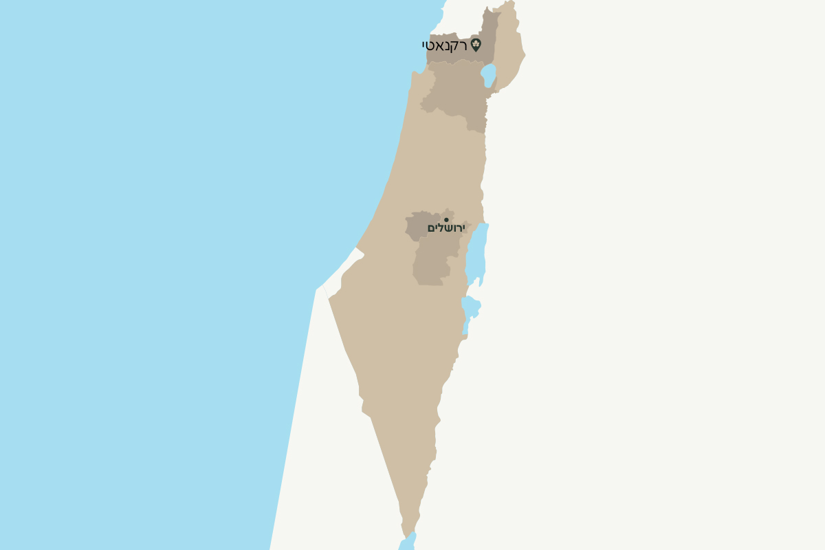 רקנאטי