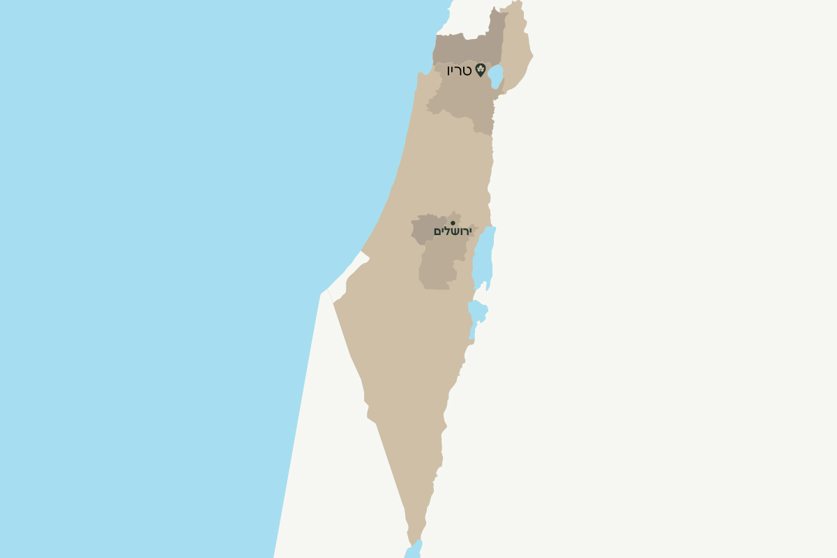 טריו