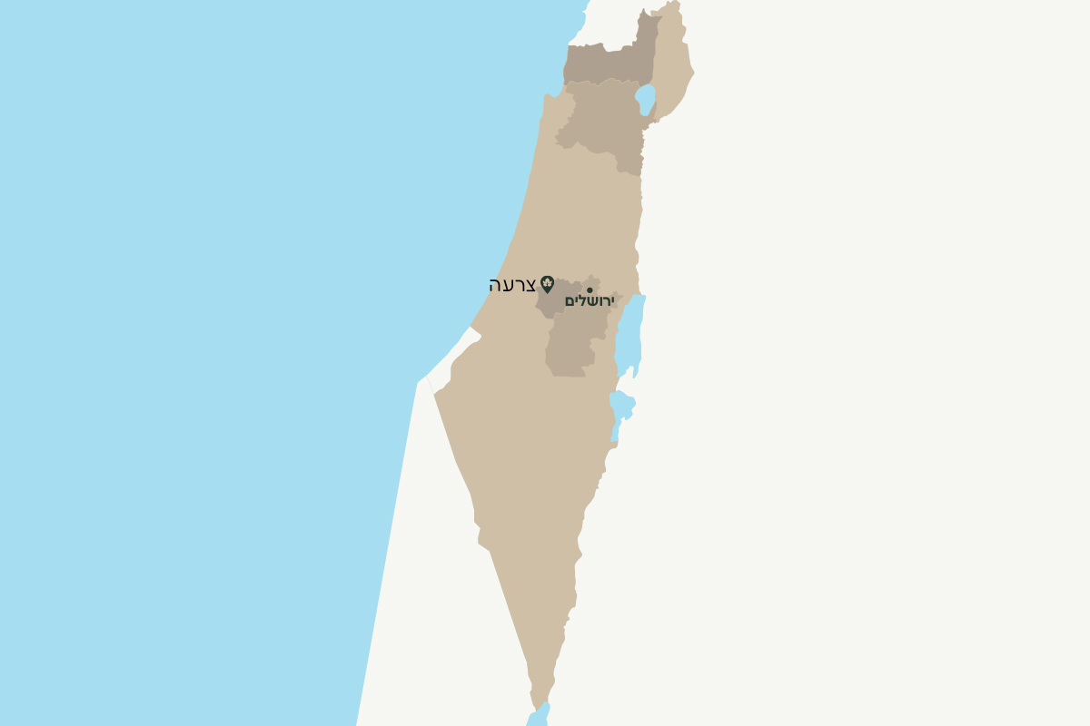 צרעה