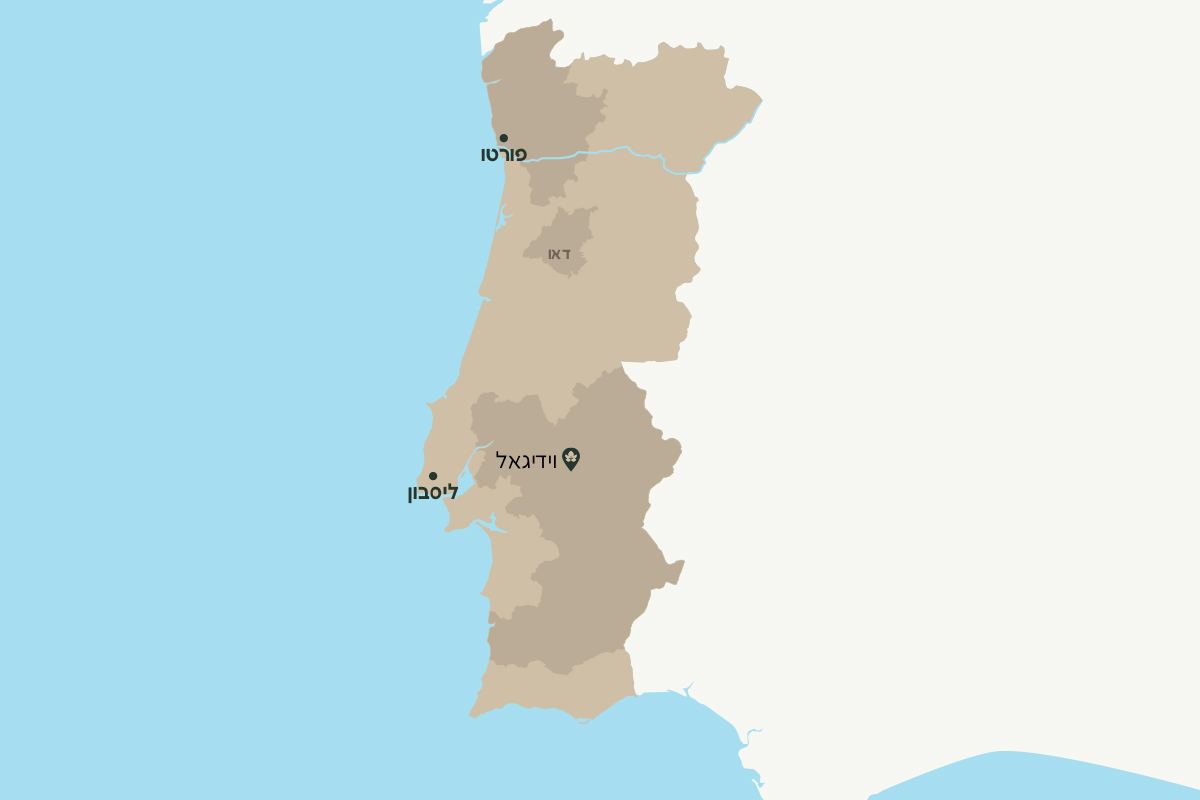חוליה פלוריסטה - כשר