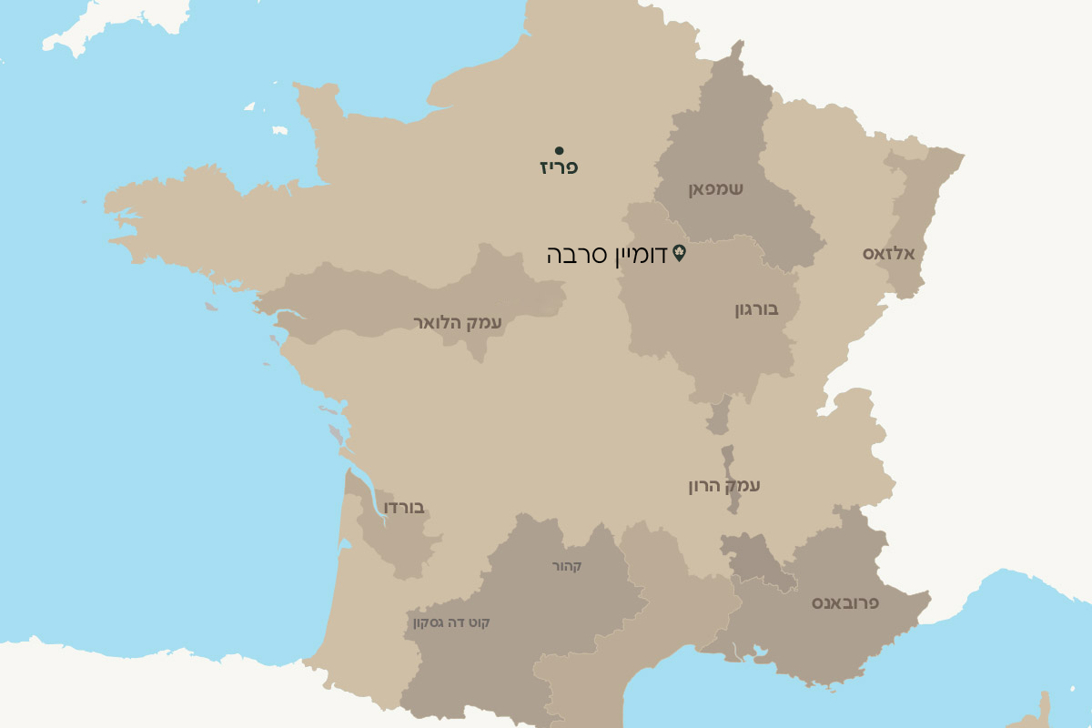 דומיין סרבה