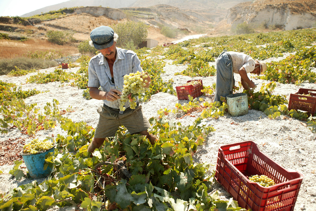 -41