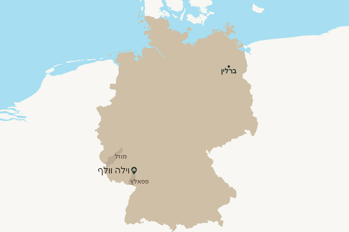 וילה וולף