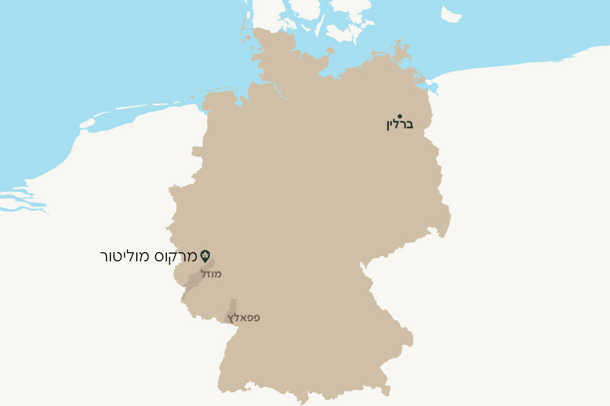 מרקוס מוליטור