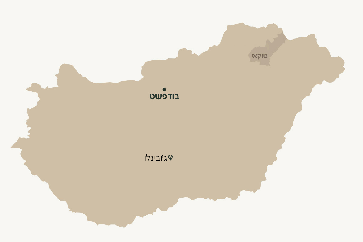 ג'ובינלו