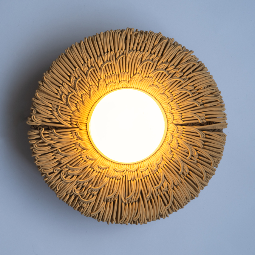 Bluming Sun
