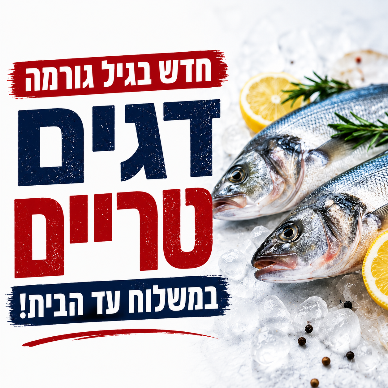 דגים טריים