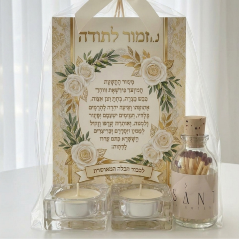רותם זיו בביש