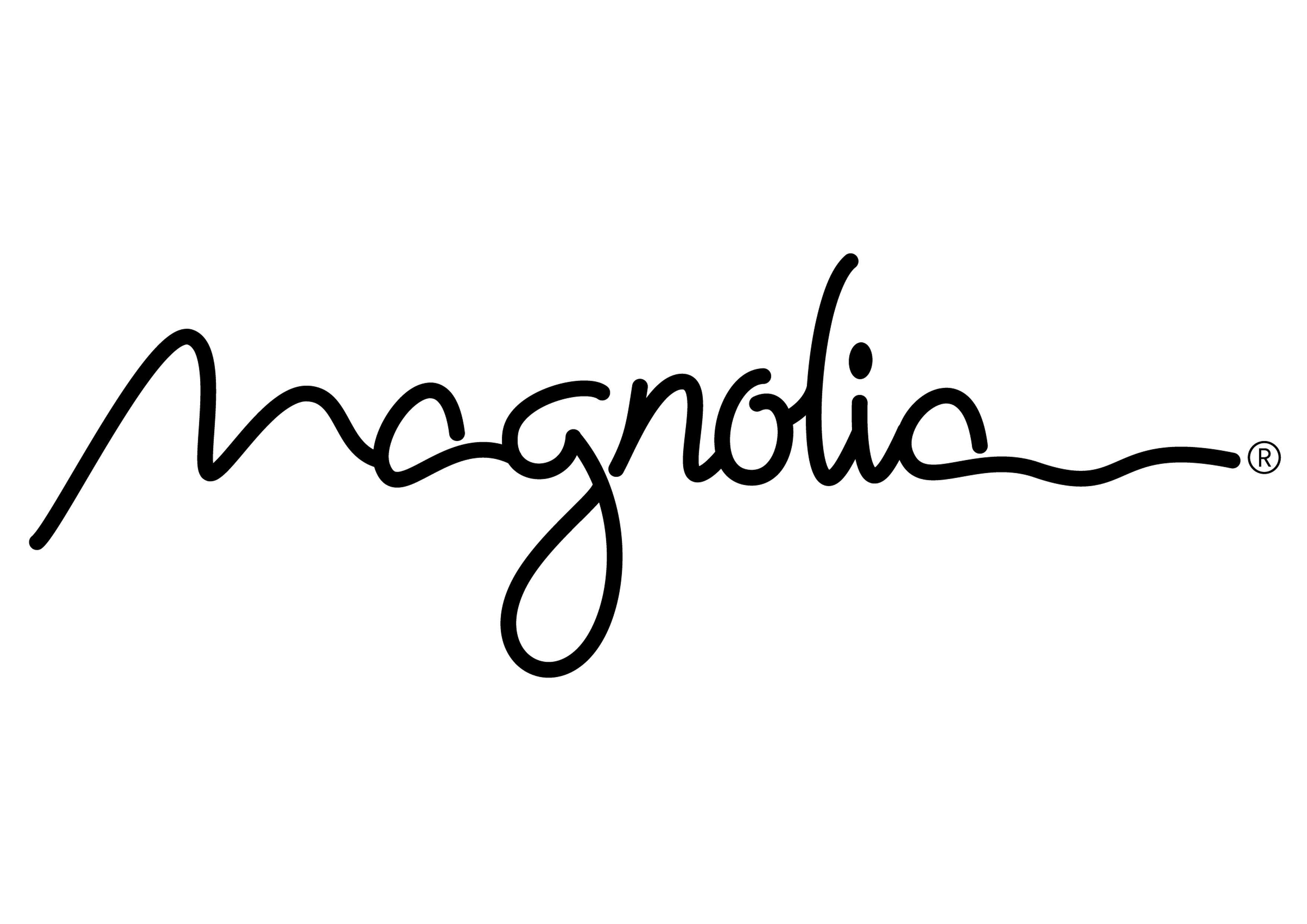 מגנוליה