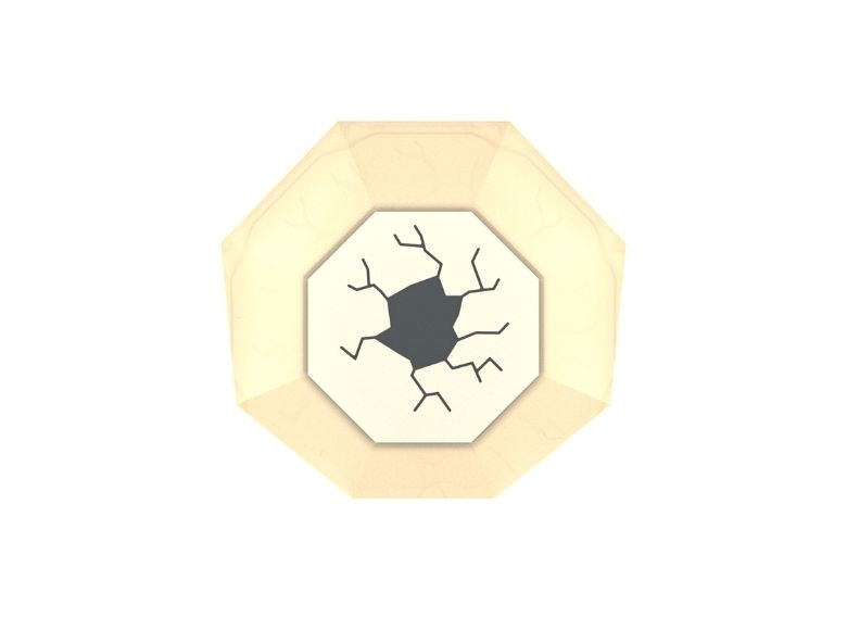Carousel Model “Spinning Egg”
