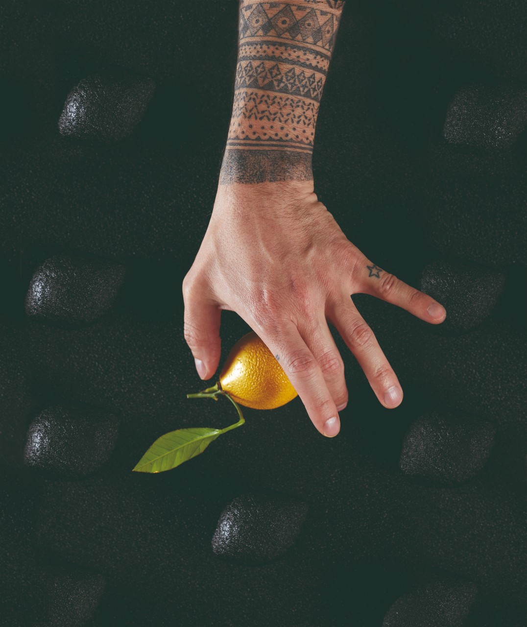 תבנית סיליקון לימון תלת מימד Citron