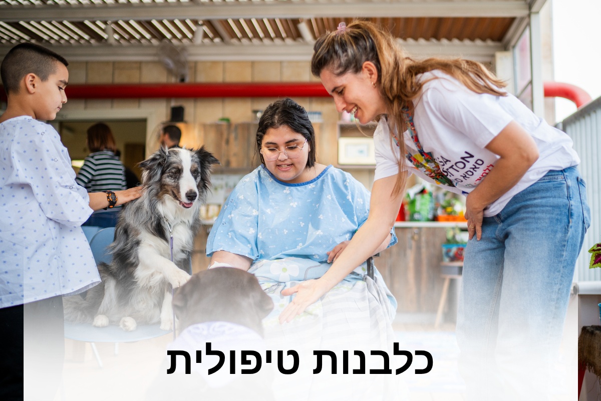 ארגון סאסא סטון-51