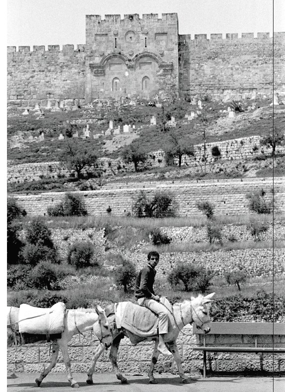 קטלוג התערוכה: עליזה אורבך: עמדתי בירושלים, תצלומים 1967-1995