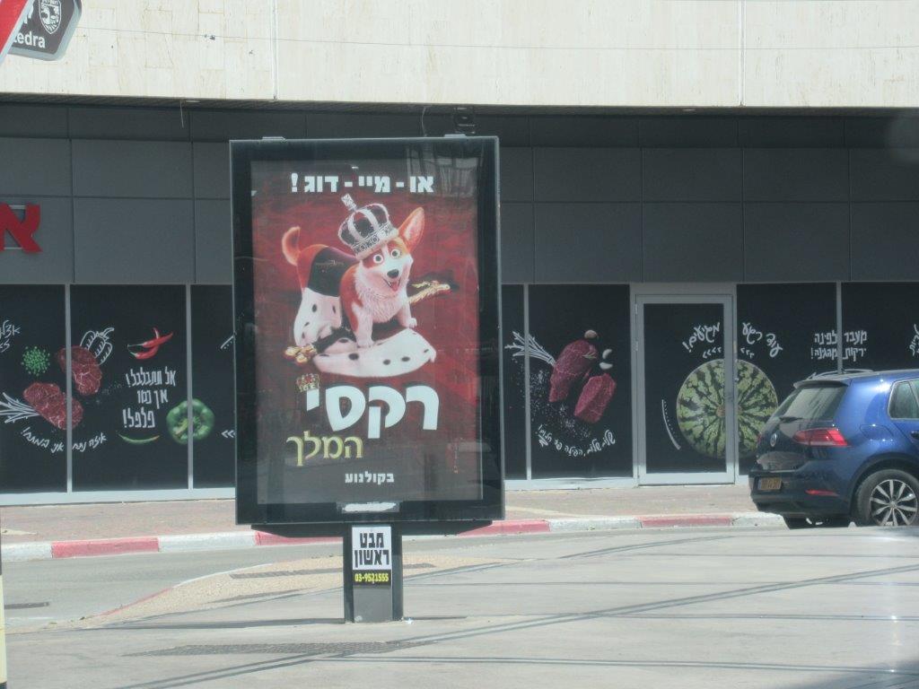 ראשל"צ
