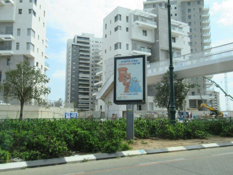נס ציונה