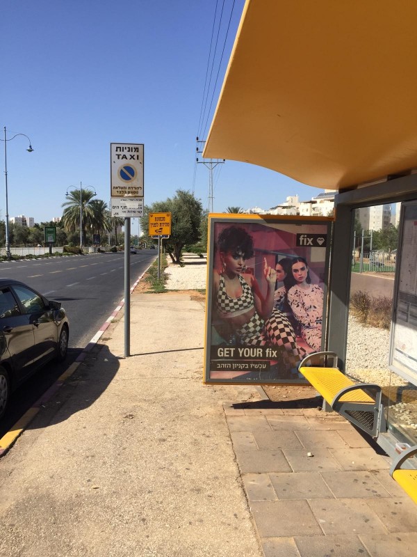 גלריה-81