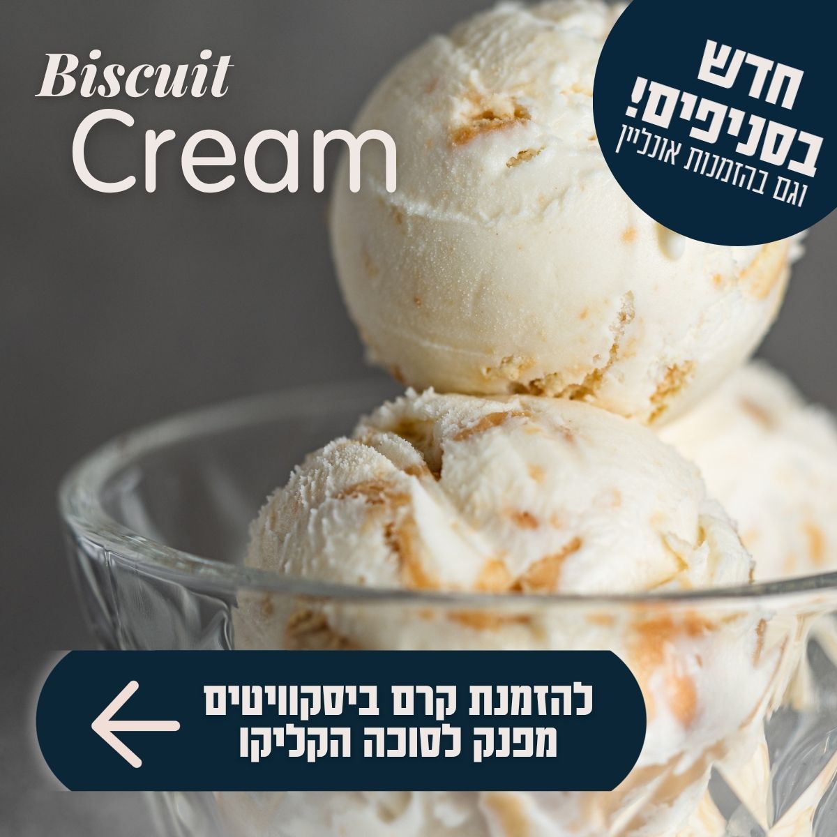 סוכות 2026 קרם בסקוויטים