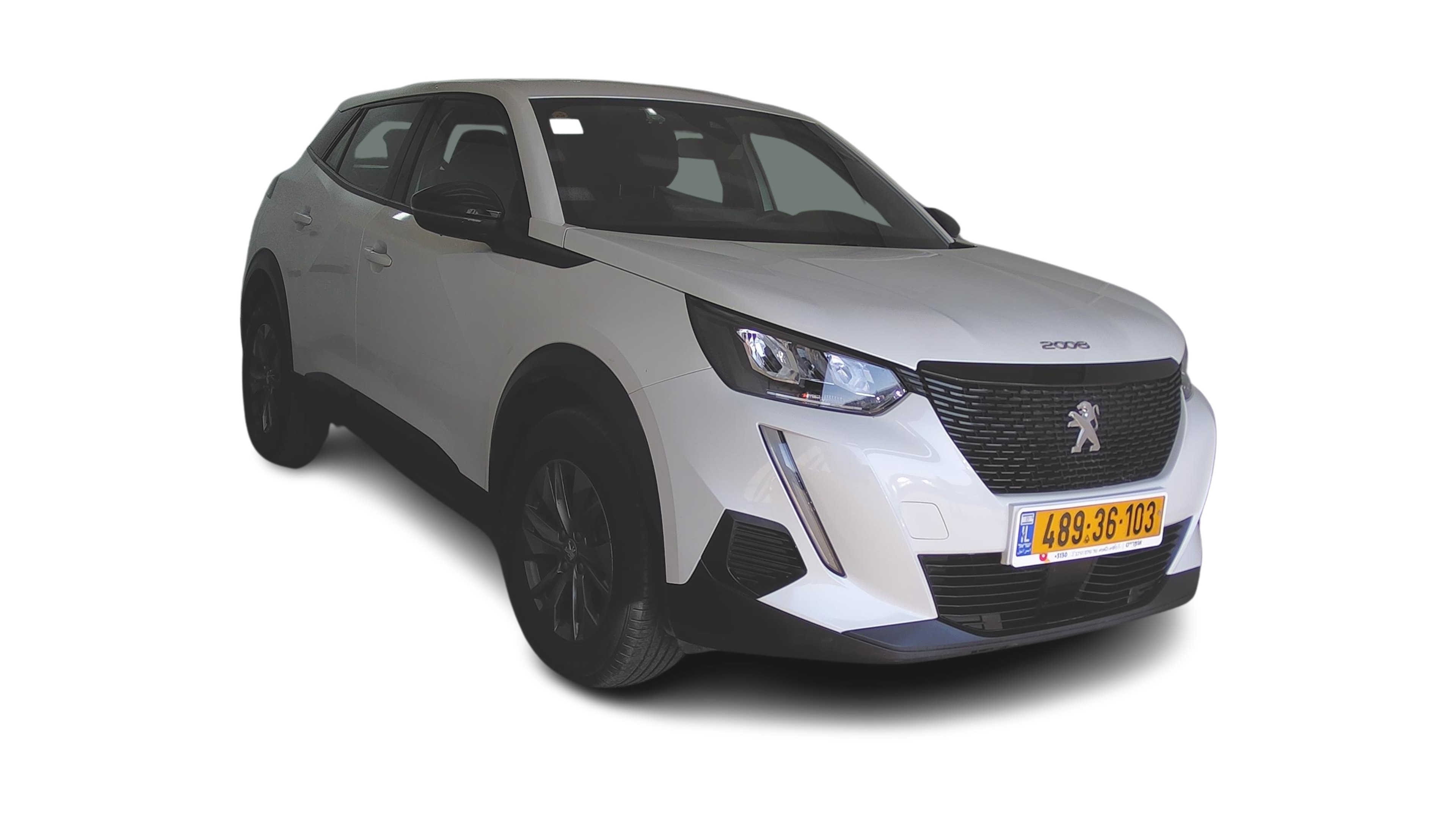 פיג'ו 2008