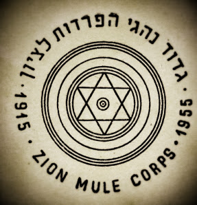 גלריה-18