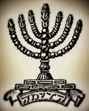גלריה-19