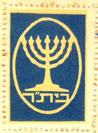 גלריה-24