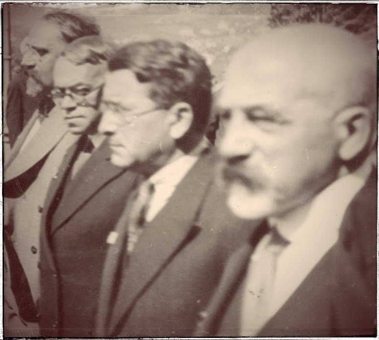 גלריה-31