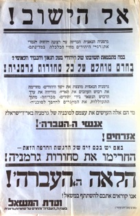 גלריה-32