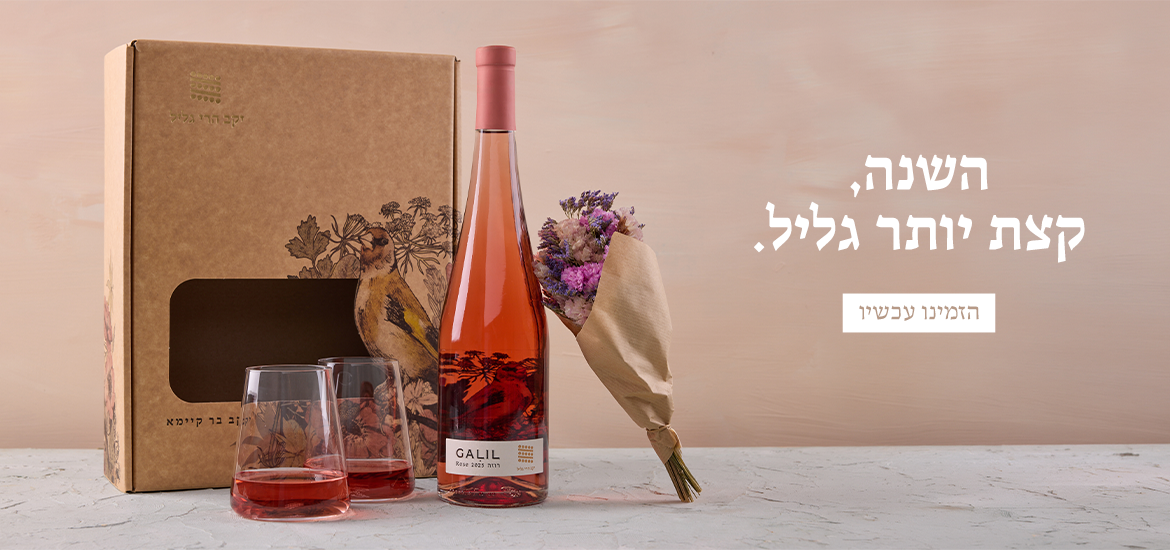 באנר מארזי "השנה קצת יותר גליל"