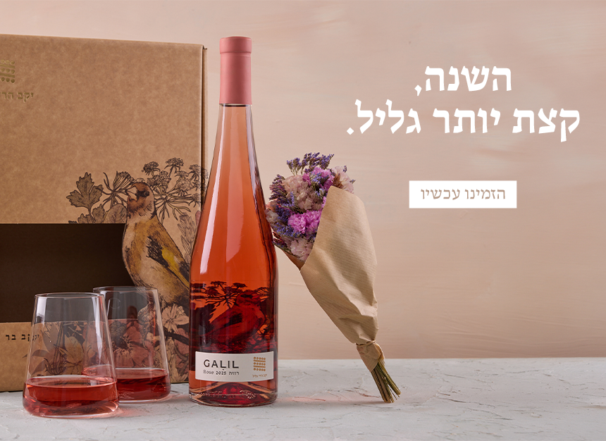 באנר מארזי "השנה קצת יותר גליל"
