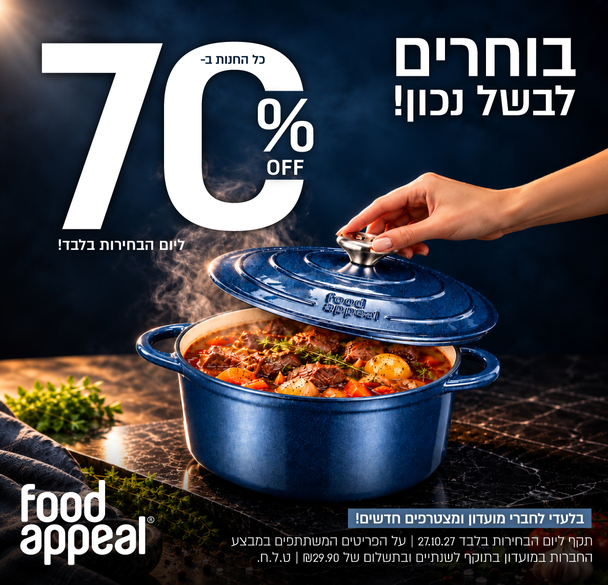 מבצעי בחירות-3