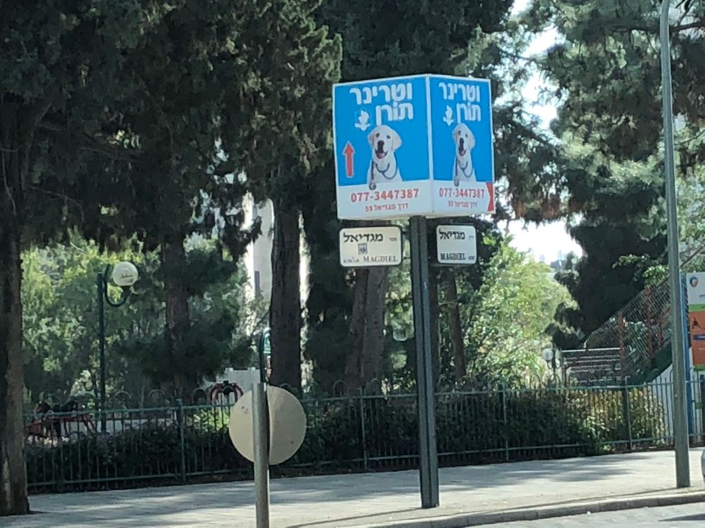-61