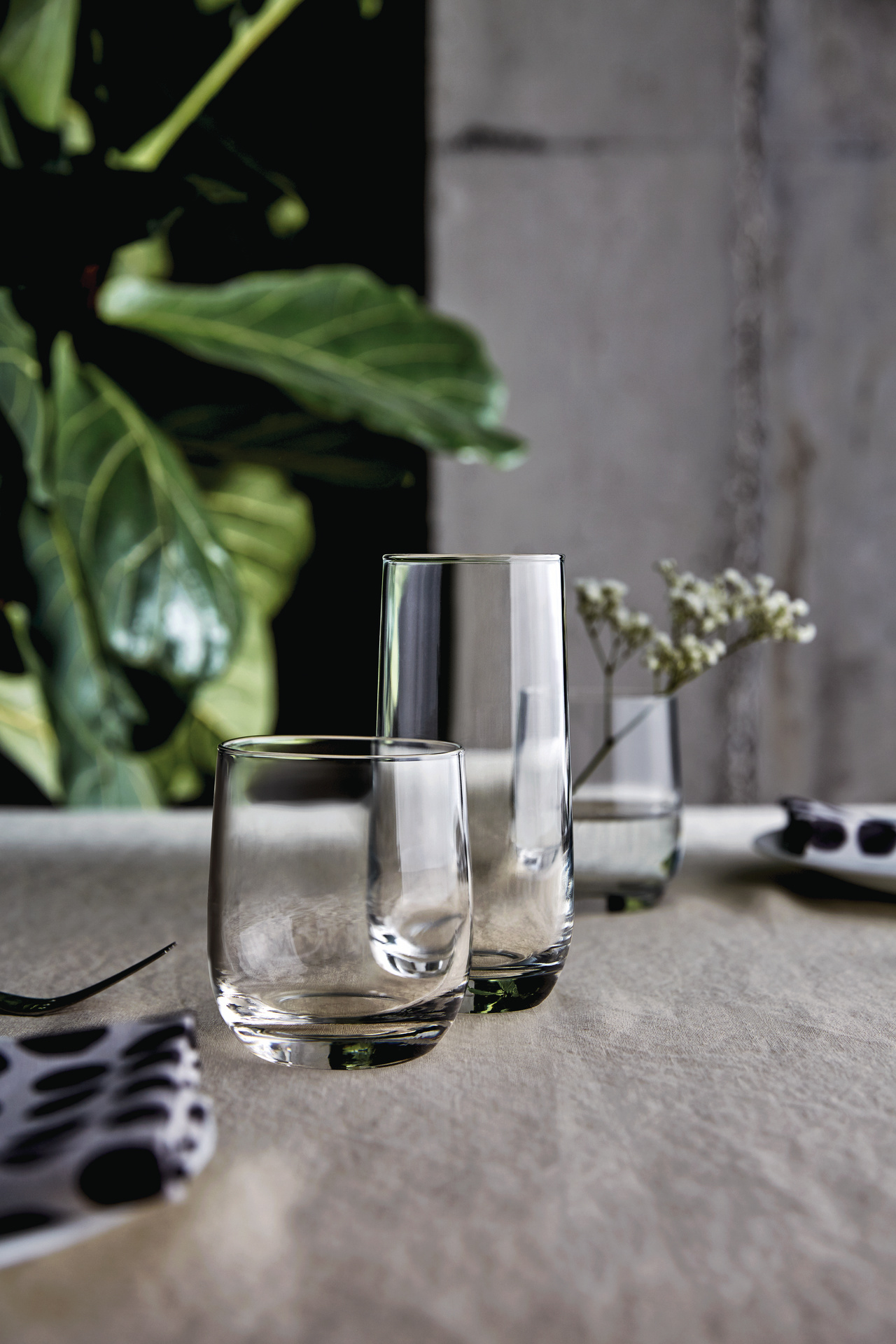 הייבול לוטו 350 מ"ל